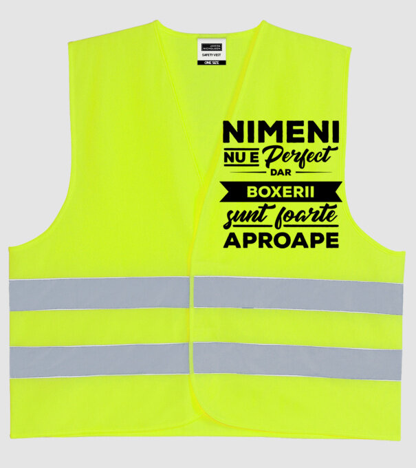 nimeni nu e perfect, dar boxerii sunt foarte aproape model galben neon pe tricou