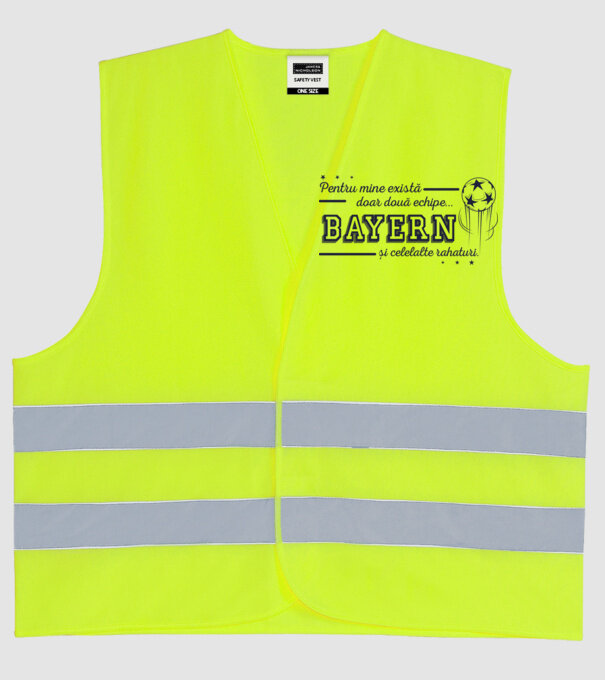 Pentru mine există doar două echipe, Bayern și celelalte rahaturi model galben neon pe tricou