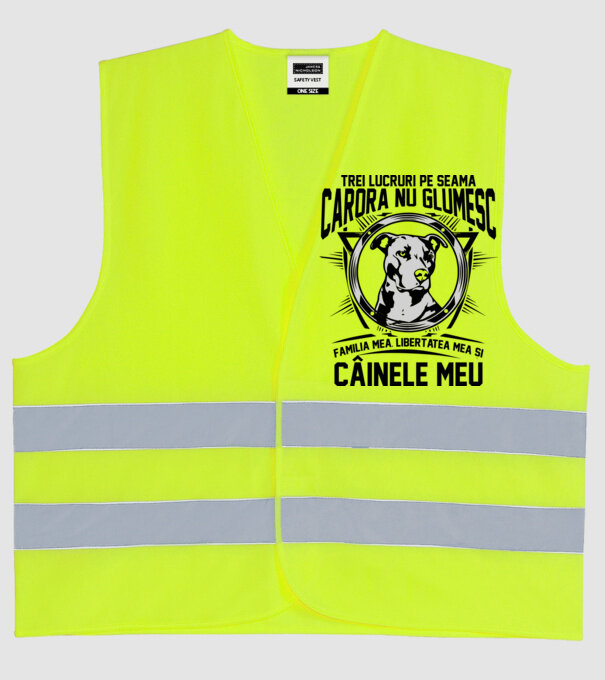 trei lucruri pe seama cărora nu glumesc: familia mea, libertatea mea și câinele meu model galben neon pe tricou