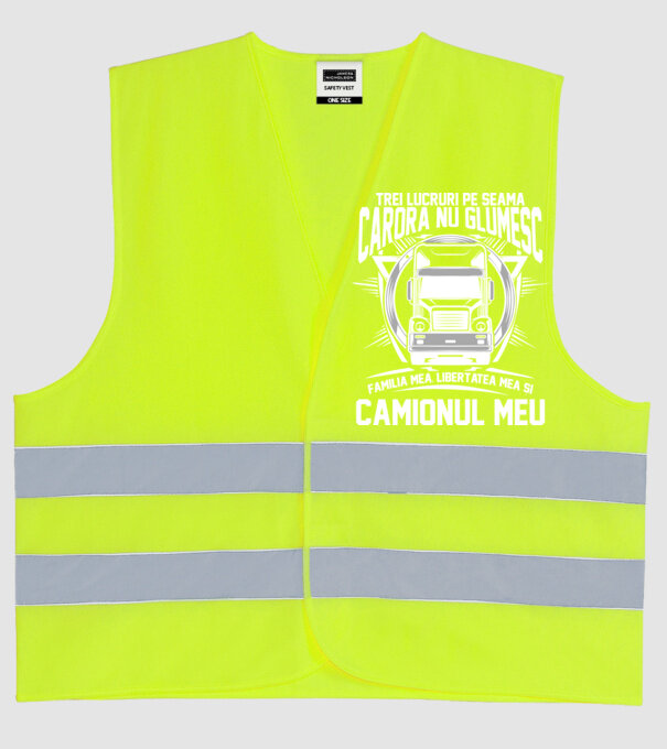 trei lucruri pe seama cărora nu glumesc: familia mea, libertatea mea și camionul meu model galben neon pe tricou