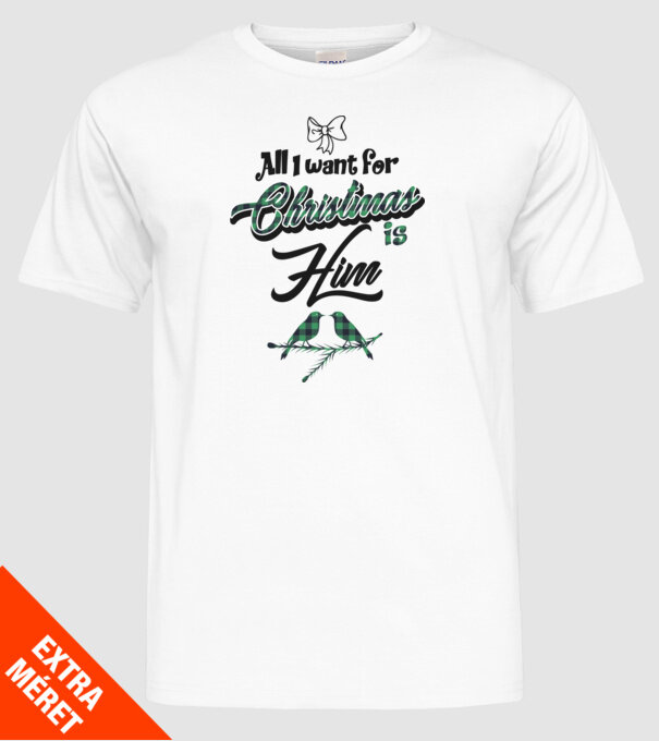 All i want for Christmas is Him model alb pe tricou