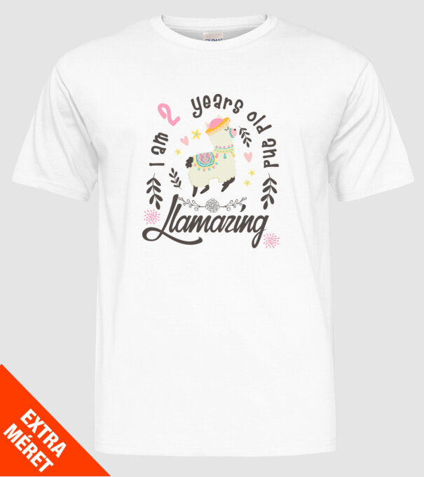 Birthday Llamazing 2 years old model alb pe tricou