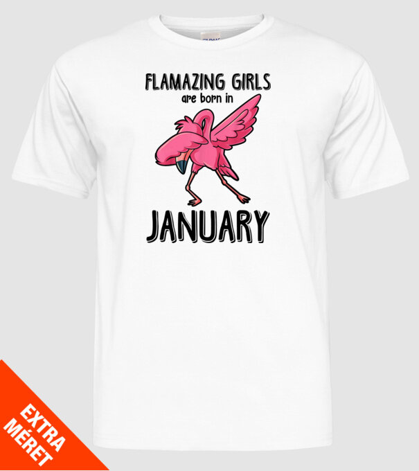 Flamazing girls are born in january black model alb pe tricou