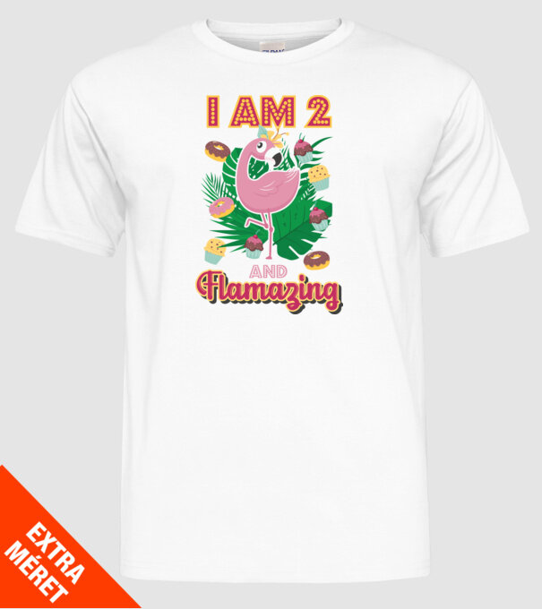 FLAMAZING Birthday 2 Years old model alb pe tricou