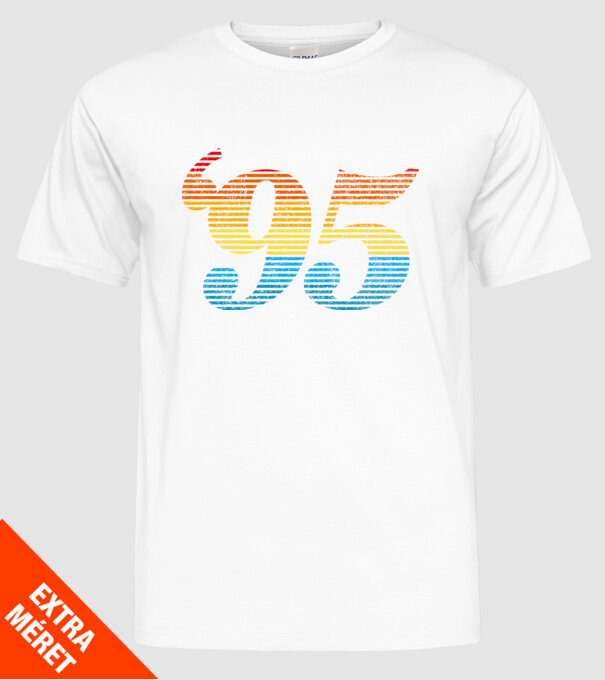 Retro Birthday 1995 model alb pe tricou