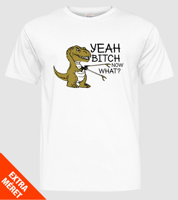 Yeah bitch now what model alb pe tricou