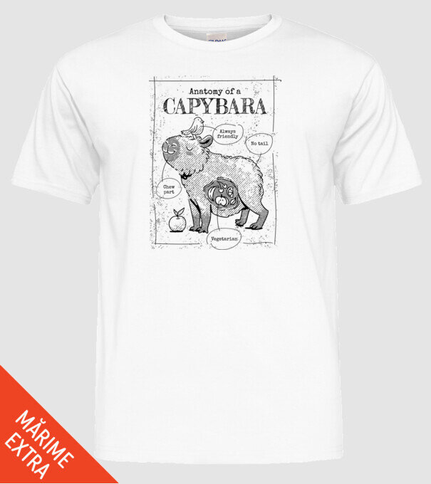 Anatomy of a Capybara model alb pe tricou