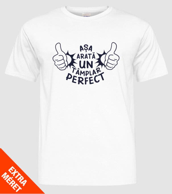 Așa arată un tâmplar perfect model alb pe tricou