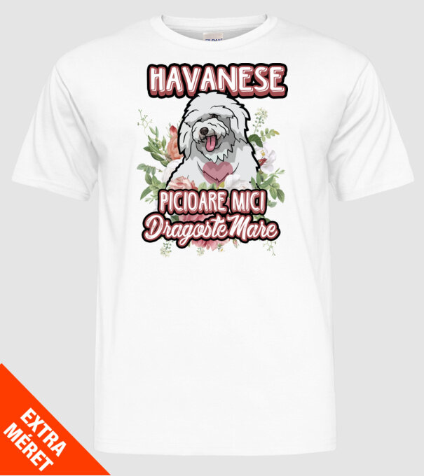 havanese : picioare mici dragoste mare model alb pe tricou