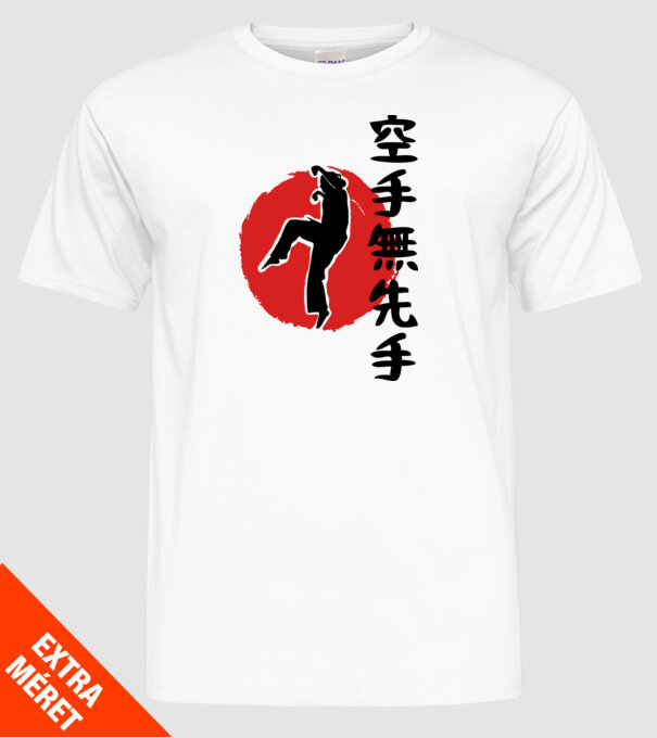 Larusso training japan model alb pe tricou