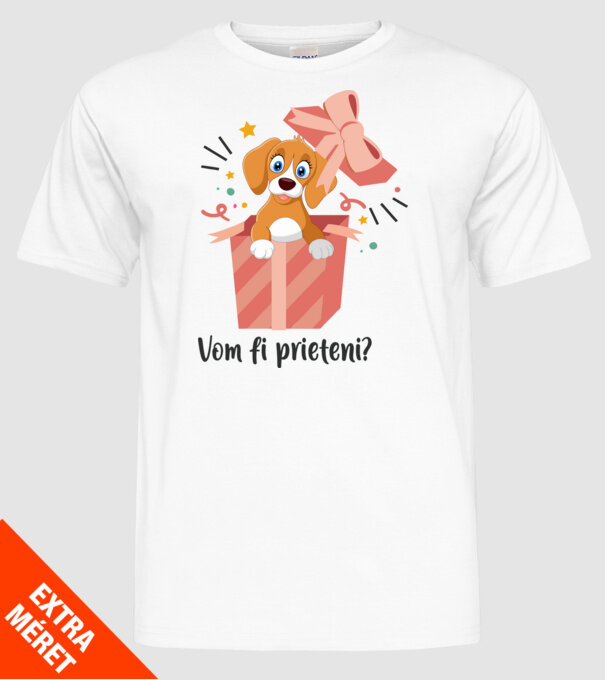Vom fi prieteni? model alb pe tricou
