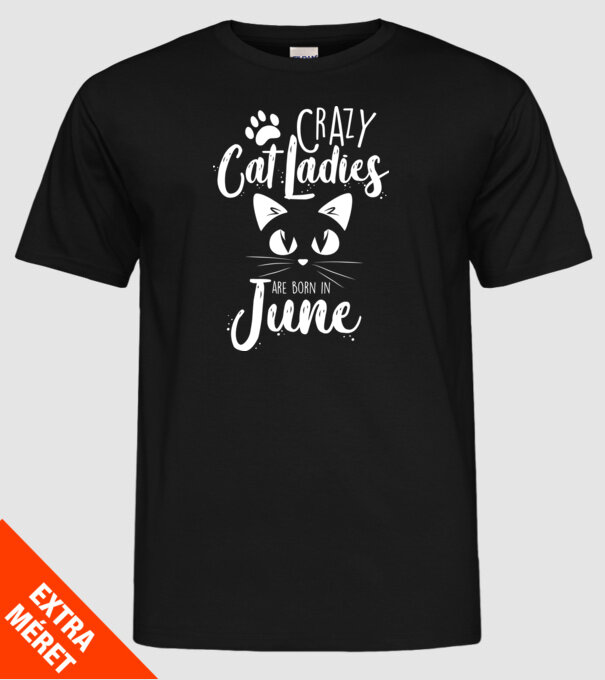Crazy Cat Ladies are born in June model negru pe tricou