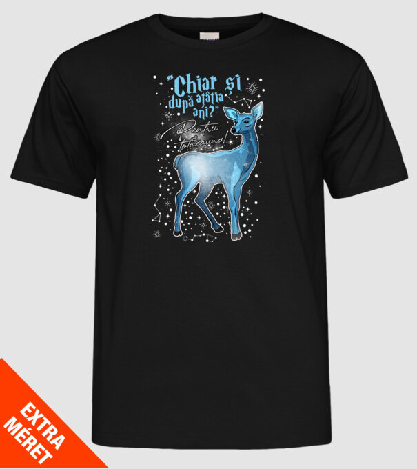 Harry Potter Valentine model negru pe tricou
