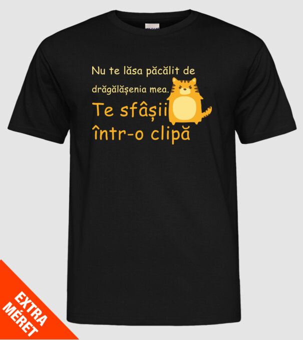 nu te lăsa păcălit de drăgălășenia mea. te sfâșii într-o clipă model negru pe tricou
