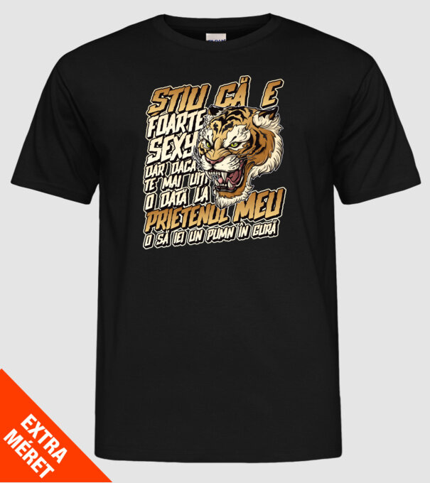 Știu că e foarte sexy, dar dacă te mai uiți o dată la prietenul meu, o să iei un pumn în gură model negru pe tricou