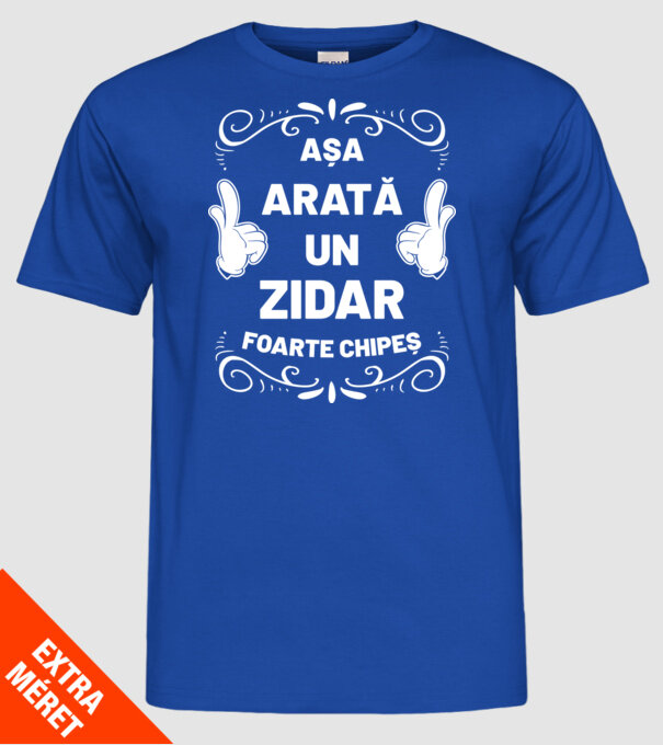 Așa arată un zidar foarte chipeș model albastru regal pe tricou