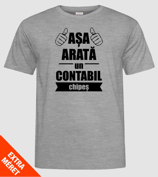 așa arată un contabil chipeș model gri pe tricou