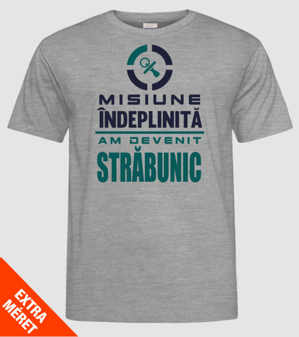 misiune îndeplinită - am devenit străbunic model gri pe tricou