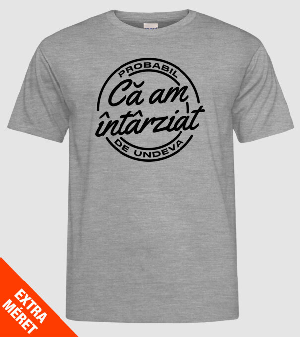 Probabil că am întârziat de undeva model gri pe tricou