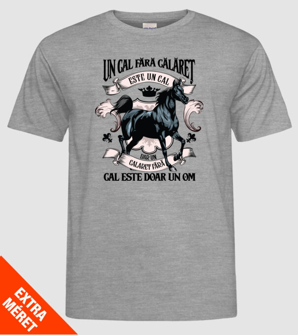 un cal fără călăreț este un cal - dar un călăreț fără cal este doar un om model gri pe tricou