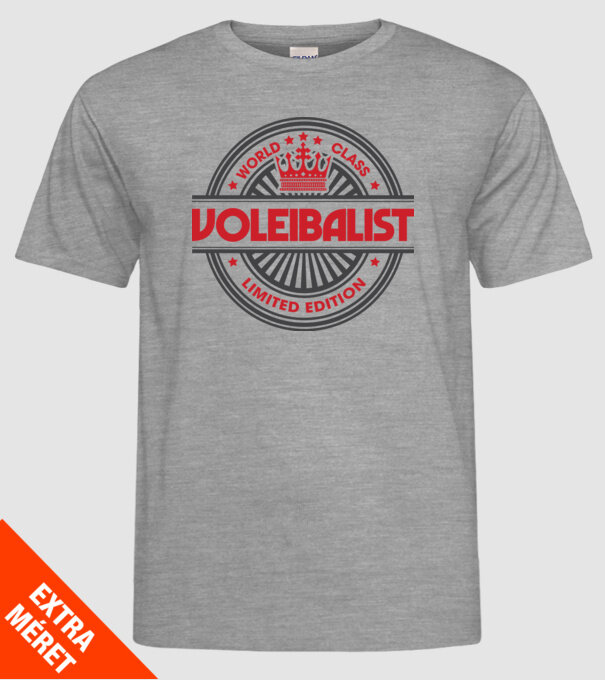 voleibalist model gri pe tricou