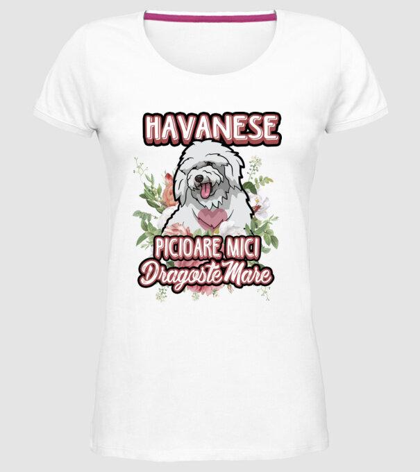 havanese : picioare mici dragoste mare model alb pe tricou
