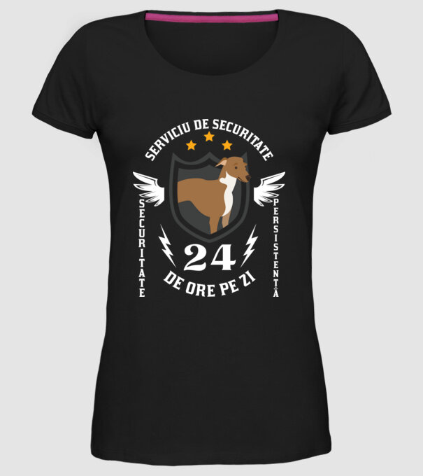serviciu de securitate - securitate - persistență - 24 de ore pe zi model negru pe tricou