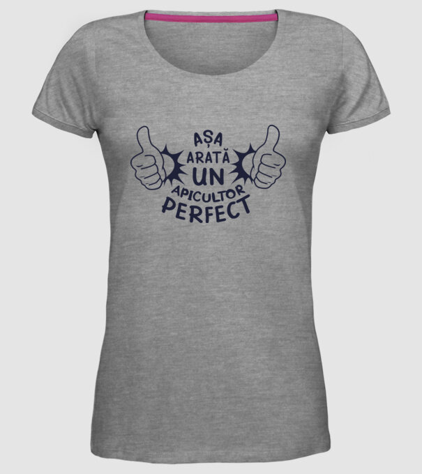 Așa arată un APICULTOR perfect model gri pe tricou