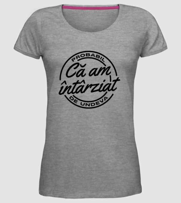 Probabil că am întârziat de undeva model gri pe tricou