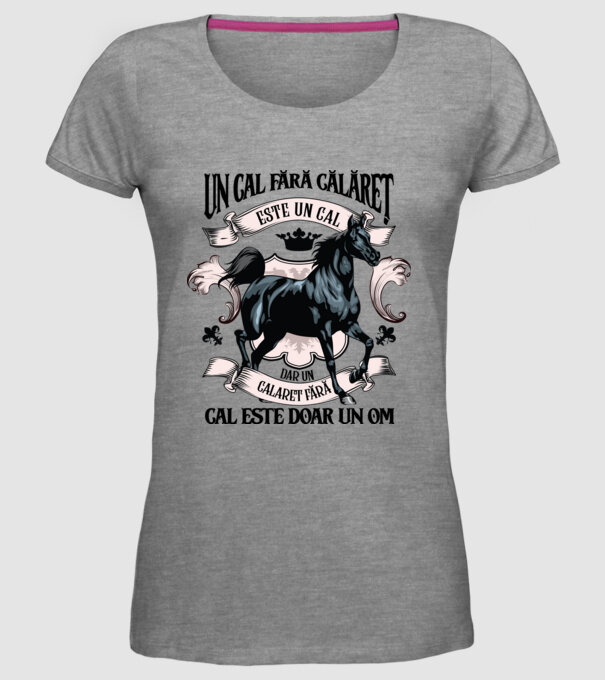 un cal fără călăreț este un cal - dar un călăreț fără cal este doar un om model gri pe tricou
