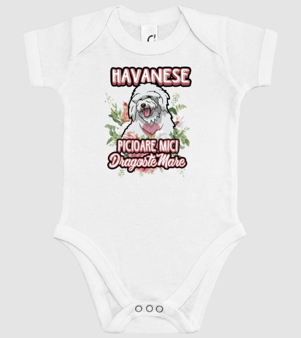 havanese : picioare mici dragoste mare model alb pe tricou