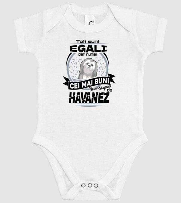 Toți sunt egali, dar numai cei mai buni devin stăpâni de havanez model alb pe tricou