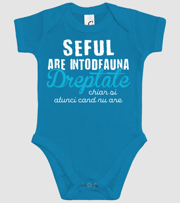 Seful are intodeauna dreptate model turcoaz pe tricou