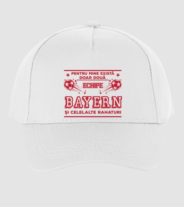 Pentru mine există doar două echipe, Bayern și celelalte rahaturi model alb pe tricou