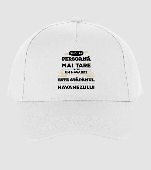 singura persoană mai tare decât un Havanez este stăpânul Havanezului model alb pe tricou