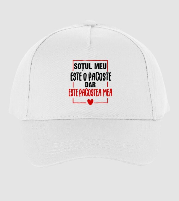 soțul meu este o pacoste model alb pe tricou