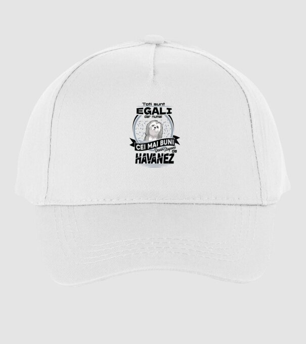 Toți sunt egali, dar numai cei mai buni devin stăpâni de havanez model alb pe tricou