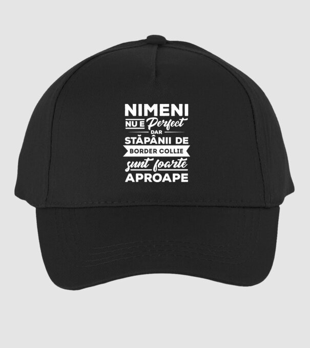 nimeni nu e perfect, dar stăpânii de border collie sunt foarte aproape model negru pe tricou