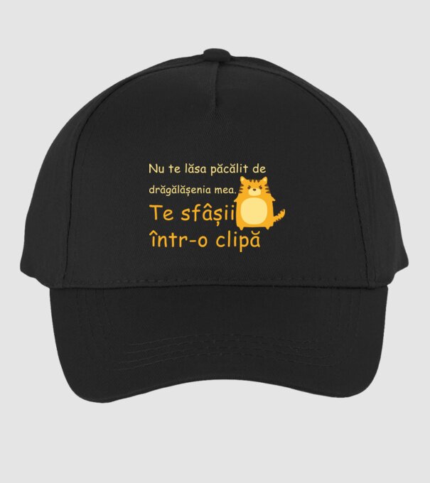 nu te lăsa păcălit de drăgălășenia mea. te sfâșii într-o clipă model negru pe tricou
