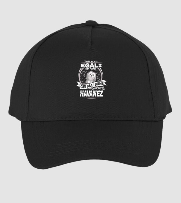 Toți sunt egali, dar numai cei mai buni devin stăpâni de havanez lght model negru pe tricou