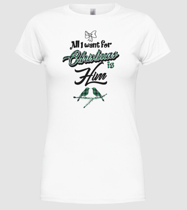 All i want for Christmas is Him model alb pe tricou