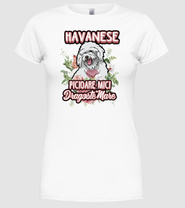 havanese : picioare mici dragoste mare model alb pe tricou