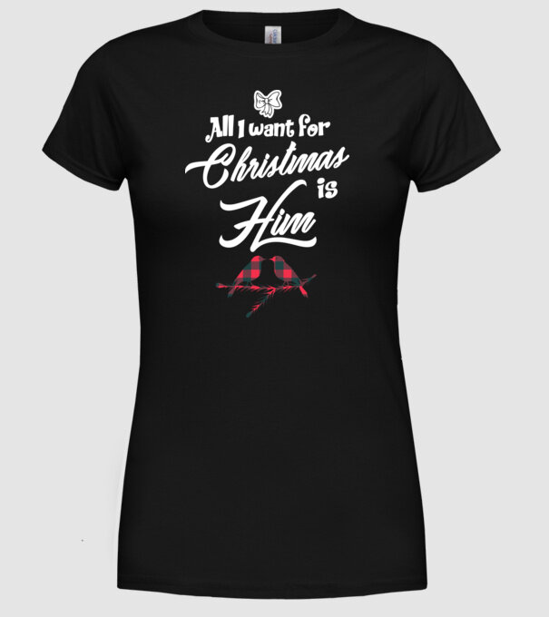 All i want for Christmas is Him model negru pe tricou