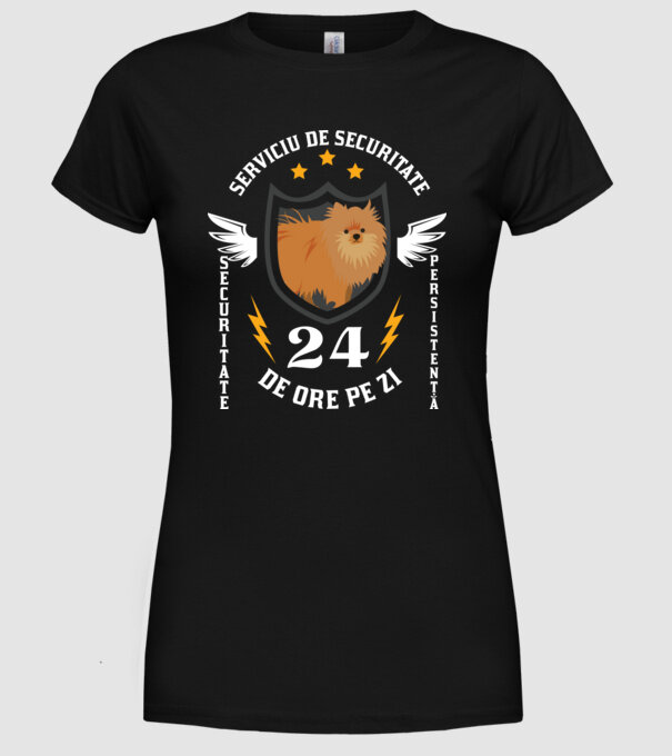 serviciu de securitate - securitate - persistență - 24 de ore pe zi model negru pe tricou