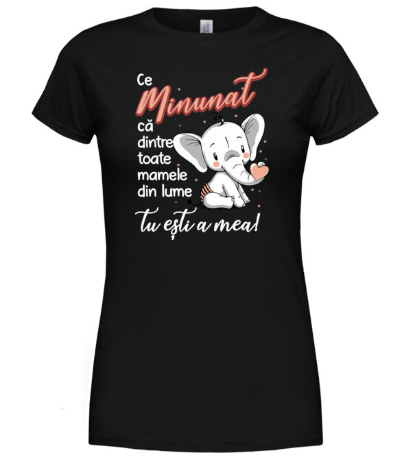  model  pe tricou