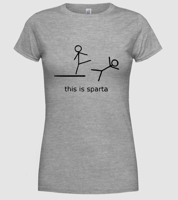 this is sparta model gri pe tricou