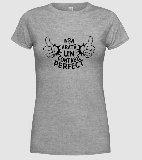 Așa arată un CONTABIL perfect model gri pe tricou