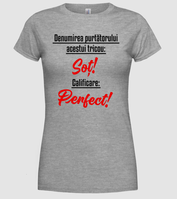 Denumirea purtătorului acestui tricou: Soț! Calificare: Perfect! model gri pe tricou
