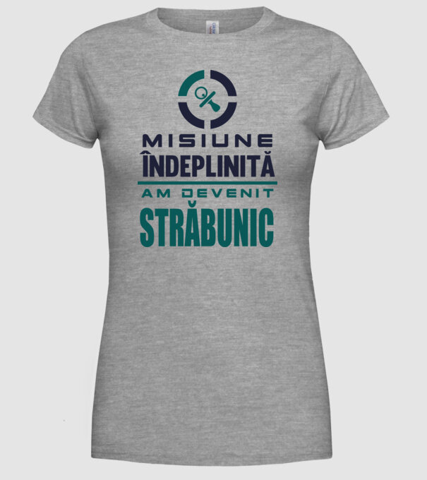 misiune îndeplinită - am devenit străbunic model gri pe tricou