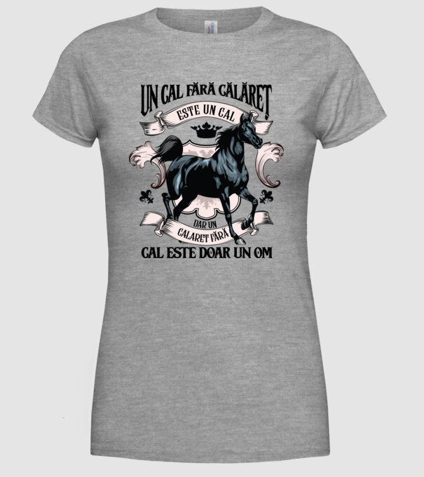 un cal fără călăreț este un cal - dar un călăreț fără cal este doar un om model gri pe tricou